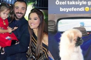 K&ouml;peği i&ccedil;in VIP ara&ccedil; kiraladı