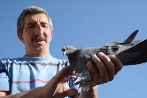 Kazalara rağmen kuş sevgisinden vazge&ccedil;medi