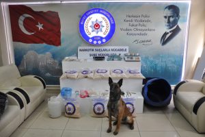 Toprağa g&ouml;m&uuml;l&uuml; 313 bin uyuşturucu hap bulundu