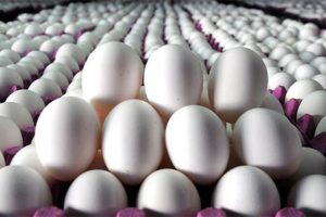 Tavuk yumurtası &uuml;retimi Haziran'da 1.5 milyar adete geriledi