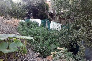 İzmir'de uyuşturucu operasyonu: 2 g&ouml;zaltı