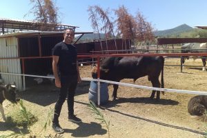 Haluk Levent, Ferdinand'ın yavrusunu ziyaret etti