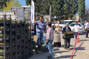 Bursa'da mezarlık ziyaret&ccedil;ilerine &uuml;cretsiz fidan ve &ccedil;i&ccedil;ek