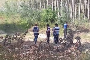 Dere kenarında boğazı kesilmiş ceset bulundu