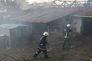 Bursa'da yangını s&ouml;nd&uuml;rmeye yardımcı olan 2 kişiye k&ouml;pek saldırdı