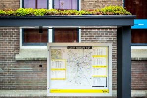 Utrecht, otob&uuml;s duraklarının &uuml;zerini yeşillendirdi