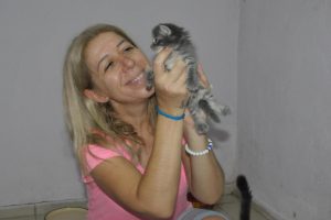 Yer bulunmazsa 50 kedi sokakta kalacak