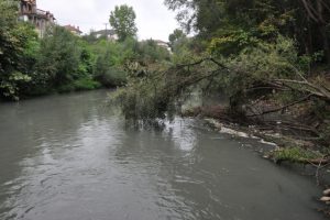 Irmağın suyu siyaha b&uuml;r&uuml;nd&uuml;, balık &ouml;l&uuml;mleri başladı