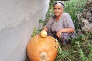 70 kiloluk bal kabağı yetiştirdiler