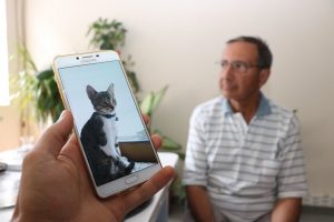 Kayıp can dostları kediyi bulana &ouml;d&uuml;l verecekler