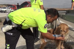 Takla atan otomobil su kanalına devrildi: 2 yaralı