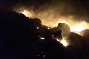Kars Kalesi eteğindeki yangın korkuttu