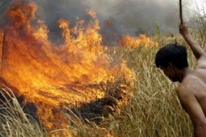 Amazon ormanlarında 72 bin yangın çıktı