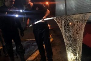 Mazgala sıkışan 2 &ouml;rdek itfaiye ekiplerince kurtarıldı