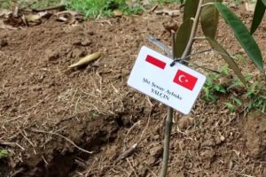 T&uuml;rk yardım g&ouml;n&uuml;ll&uuml;lerinden Endonezya'daki yoksul k&ouml;y halkına destek