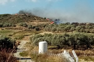 Hatay'da bitki &ouml;rt&uuml;s&uuml; ve zeytinlik yangını &ccedil;ıktı