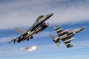 Pen&ccedil;e H&acirc;rekatı'nda PKK'ya bir darbe daha