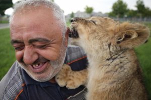 Annesi kabul etmedi, bakıcısının kucağında uyuyor