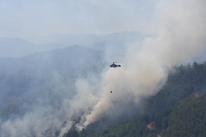İzmir Karabağlar yangınında, en b&uuml;y&uuml;k ş&uuml;pheli piknik&ccedil;iler