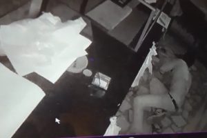 Pişkin hırsız! S&uuml;r&uuml;nerek geldi, hem &ccedil;aldı hem de karnını doyurdu