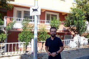 S&uuml;r&uuml;c&uuml;ler i&ccedil;in 'Kedi &Ccedil;ıkabilir' tabelaları astılar