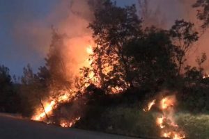 Bursa'da jandarmanın dikkati sayesinde orman yangını söndürüldü