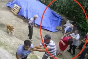 Arazi kavgasında amca-yeğen birbirine girdi