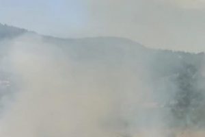 Yıldırım orman yangınına neden oldu