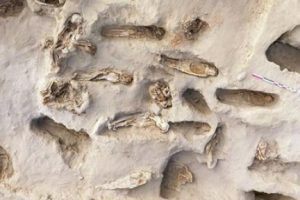 Peru'da kurban edilen 227 &ccedil;ocuğun mezarı bulundu