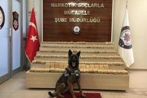 Uyuşturucu tacirleri 'bozo'ya takıldı