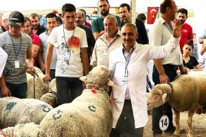 Türkiye'nin çobanları Bursa'da buluşuyor