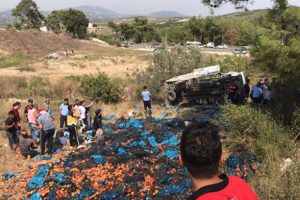 Şeftali y&uuml;kl&uuml; kamyonet devrildi: 2 &ouml;l&uuml;, 10 yaralı