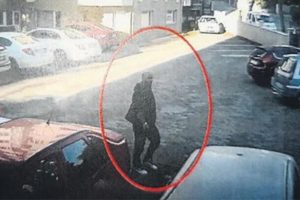 Tek yumurta ikizlerinin sırrı &ccedil;&ouml;z&uuml;ld&uuml;