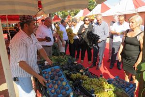 Bursa'da y&ouml;resel &uuml;r&uuml;nler sergiye &ccedil;ıktı