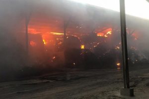 Kırklareli'de b&uuml;y&uuml;kbaş hayvanların bulunduğu &ccedil;iftlikte yangın &ccedil;ıktı