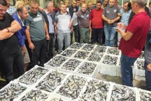 Balıklar kapış kapış gitti