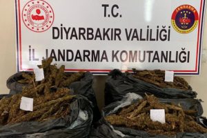 66 kilo esrar ele ge&ccedil;irildi