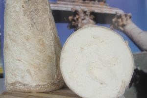 Toroslardan gelen lezzet: Deri peyniri