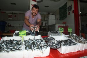 Giresunlu balık&ccedil;ılar umduklarını bulamadı