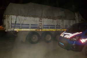Bursa'da jandarma 20 ton ka&ccedil;ak tomruk ele ge&ccedil;irdi