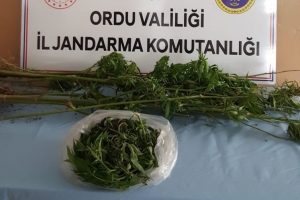 Polis uyuşturucu tacirlerine nefes aldırmadı