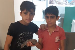 Bursa'da u&ccedil;amayan yavru kumruya &ccedil;ocuklar sahip &ccedil;ıktı