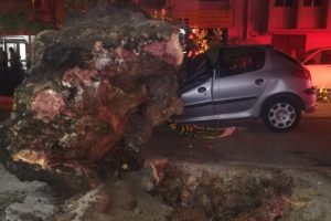 İzmir'de 3 otomobilin &uuml;zerine ağa&ccedil; devrildi