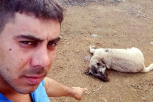 9 aylık k&ouml;pek av t&uuml;feği ile &ouml;ld&uuml;r&uuml;ld&uuml;