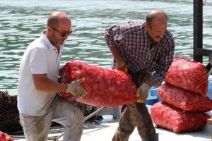 Balık&ccedil;ılar rotayı salyangoza &ccedil;evirdi