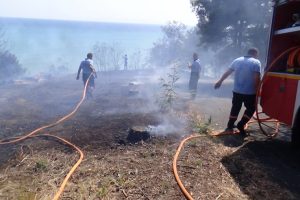 Tekirdağ'da ormanlık alanda yangın