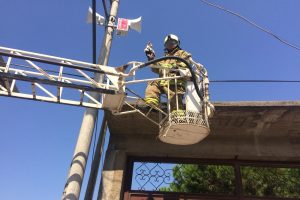 Elektrik direğinde mahsur kalan kediye itfaiye kurtardı