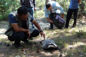 Kırmızı listede: Tedavi altına alındı