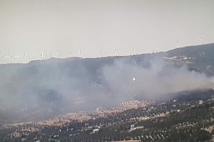 İzmir'de makilik yangın