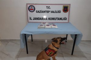 27 bin 555 uyuşturucu hap ele ge&ccedil;irildi